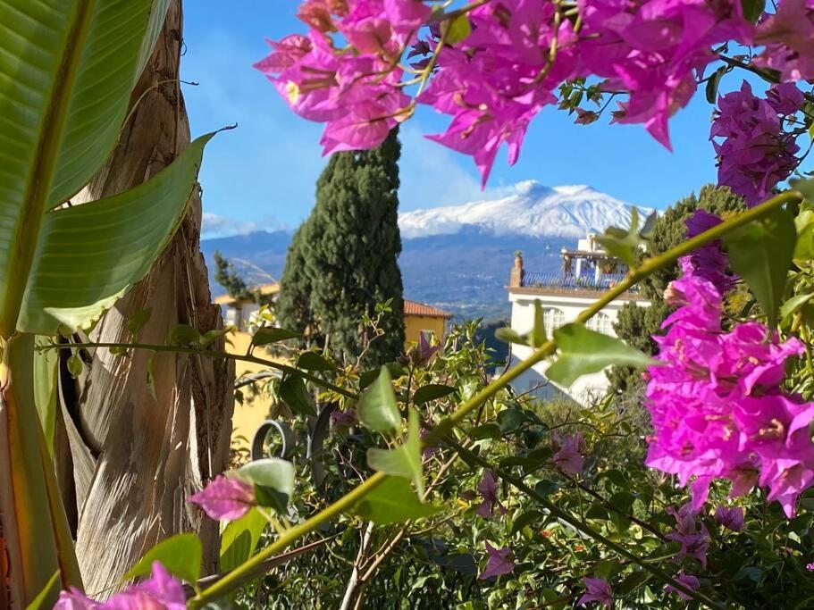 Atelier Taormina Spacious Guesthouse With Pool מראה חיצוני תמונה
